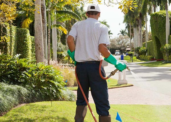 About Xenia IL Pest Control